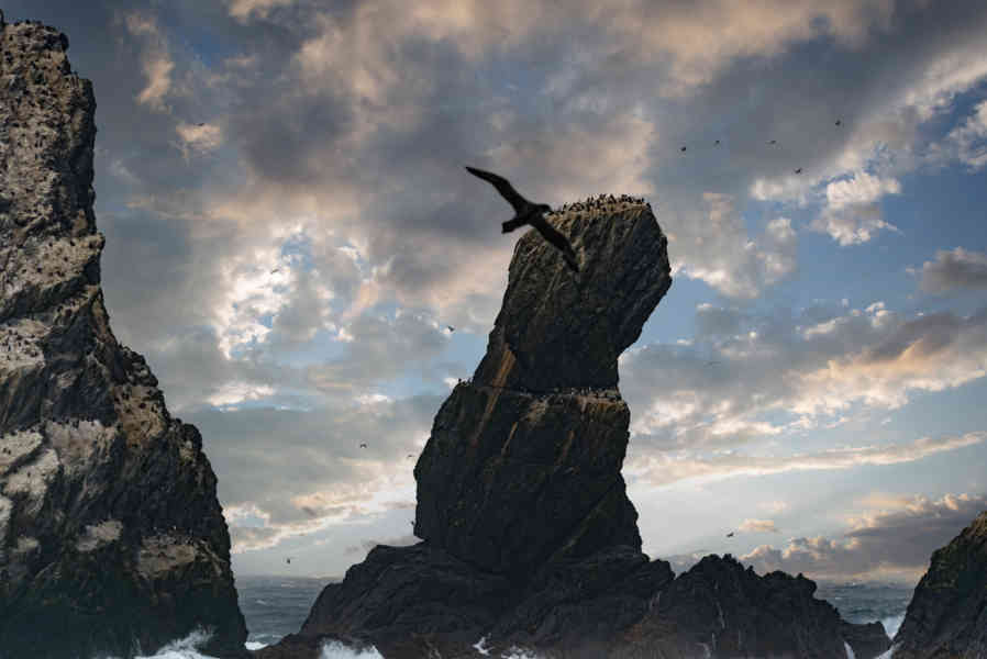 Islas Georgias del Sur 100 - Shag Rocks.jpg